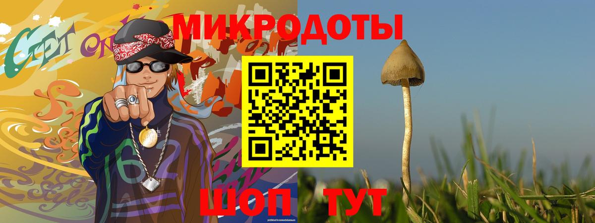 Карасук  Галлюциногенные грибы Psilocybe  Галлюциногенные грибы мухоморы  Вход с VPN 